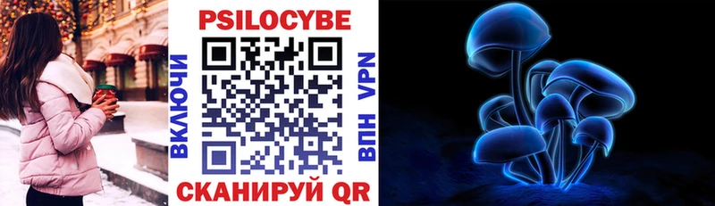 купить закладку Костерёво Галлюциногенные грибы мицелий
